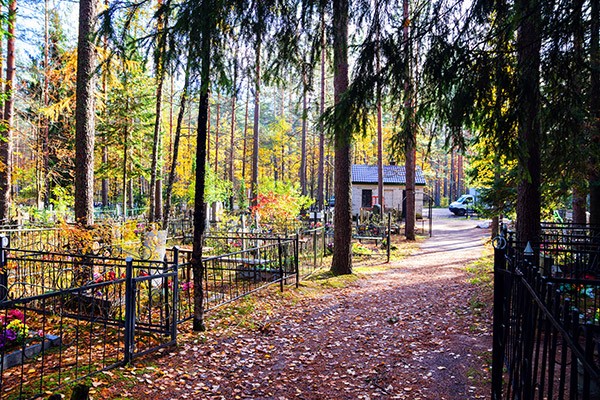 Репинское кладбище в Санкт-Петербурге